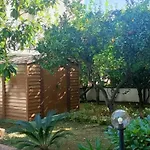 Apartment Sun Terrace *