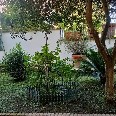 Sun Terrace *